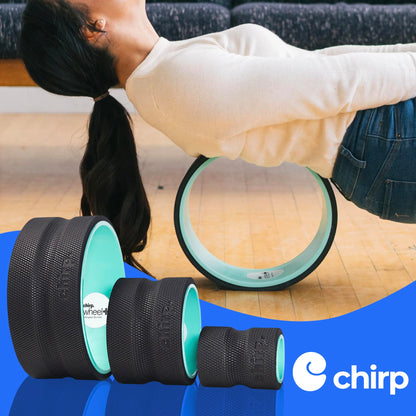 Chirp Wheel Foam Roller – Targeted Back & Neck Relief, Lumbar Spine Stretcher, Spinal Decompression Back Stretcher, Massage Roller with Density Foam for Physical Therapy, Supports 500lbs, 2-Inch Mint
