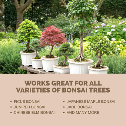 Bonsai Fertilizer – Liquid Plant Food for Healthy Growth, Vibrant Foliage & Stronger Root Development, 8 oz