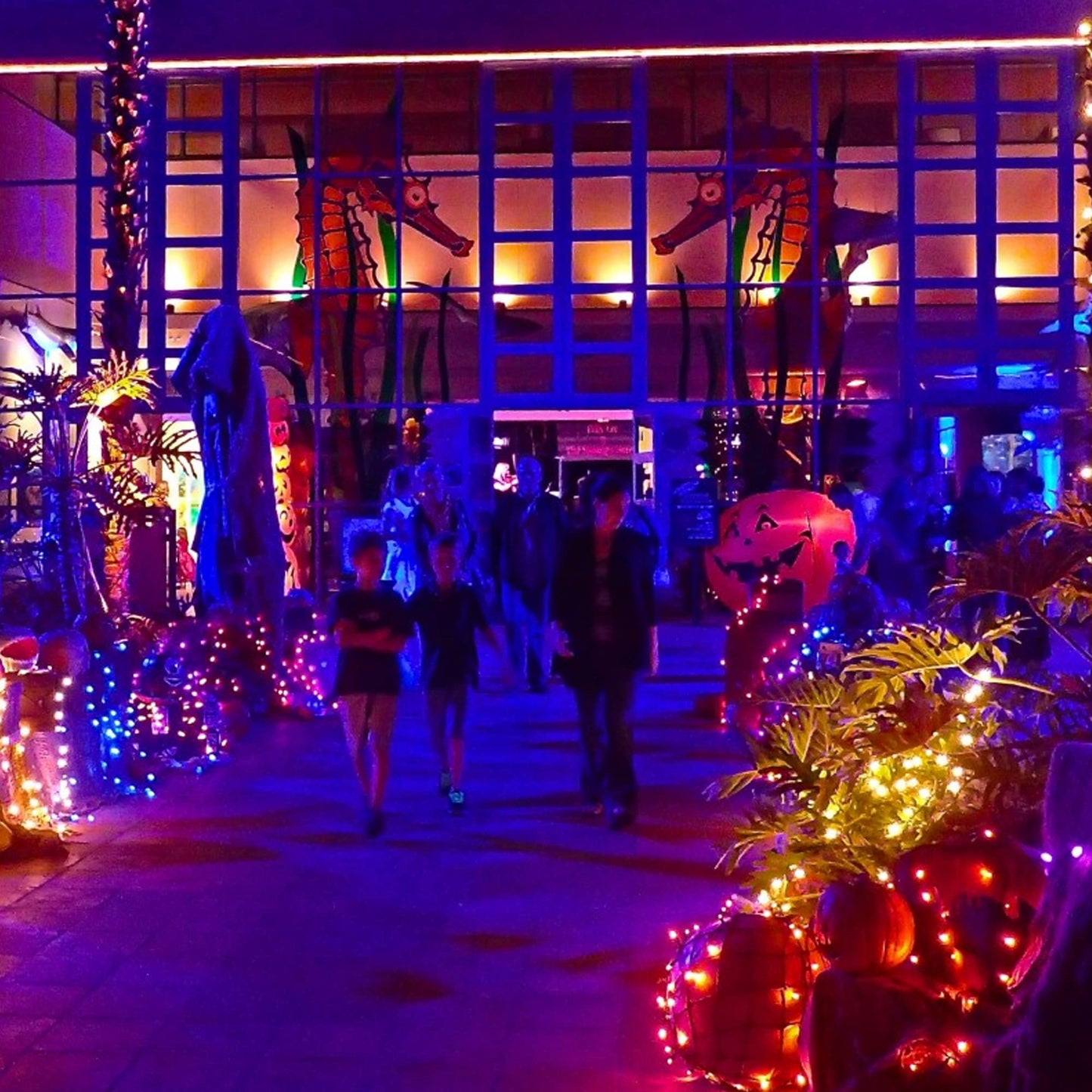 Dazzle Bright Orange Halloween Fairy String Lights, 4 Pack Total 80FT 240LED Copper Wire Battery Operated Waterproof Lights, Halloween Decorations for Indoor Home Outdoor Patio Yard Party Decor
