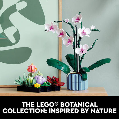 LEGO Botanicals Succulents - Artificial Indoor Plant Building Set for Home, Kitchen, Desk Decor Adults Ages 18+ - Gift for Birthdays - 10309