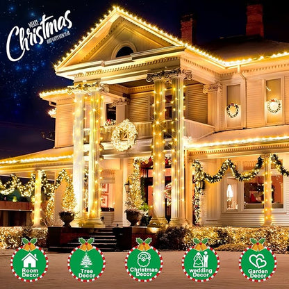 SAUIRS 60FT 160 LED Christmas Lights Outdoor String Lights with 8 Modes Timer Waterproof Fairy Light Plug in for Outside Indoor Party Xmas Palm Tree Yard Wedding Decorations(Warm White)