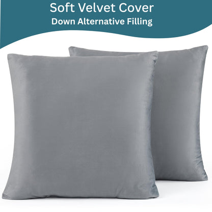 LANE LINEN Throw Pillow Insert - Pack of 2 16x16 Pillow Inserts for Decorative Pillow Covers, Throw Pillows Insert for Couch - White