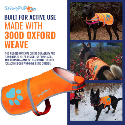 Blaze Orange Reflective Dog Vest, High Visibility in Woods & Hunting Areas