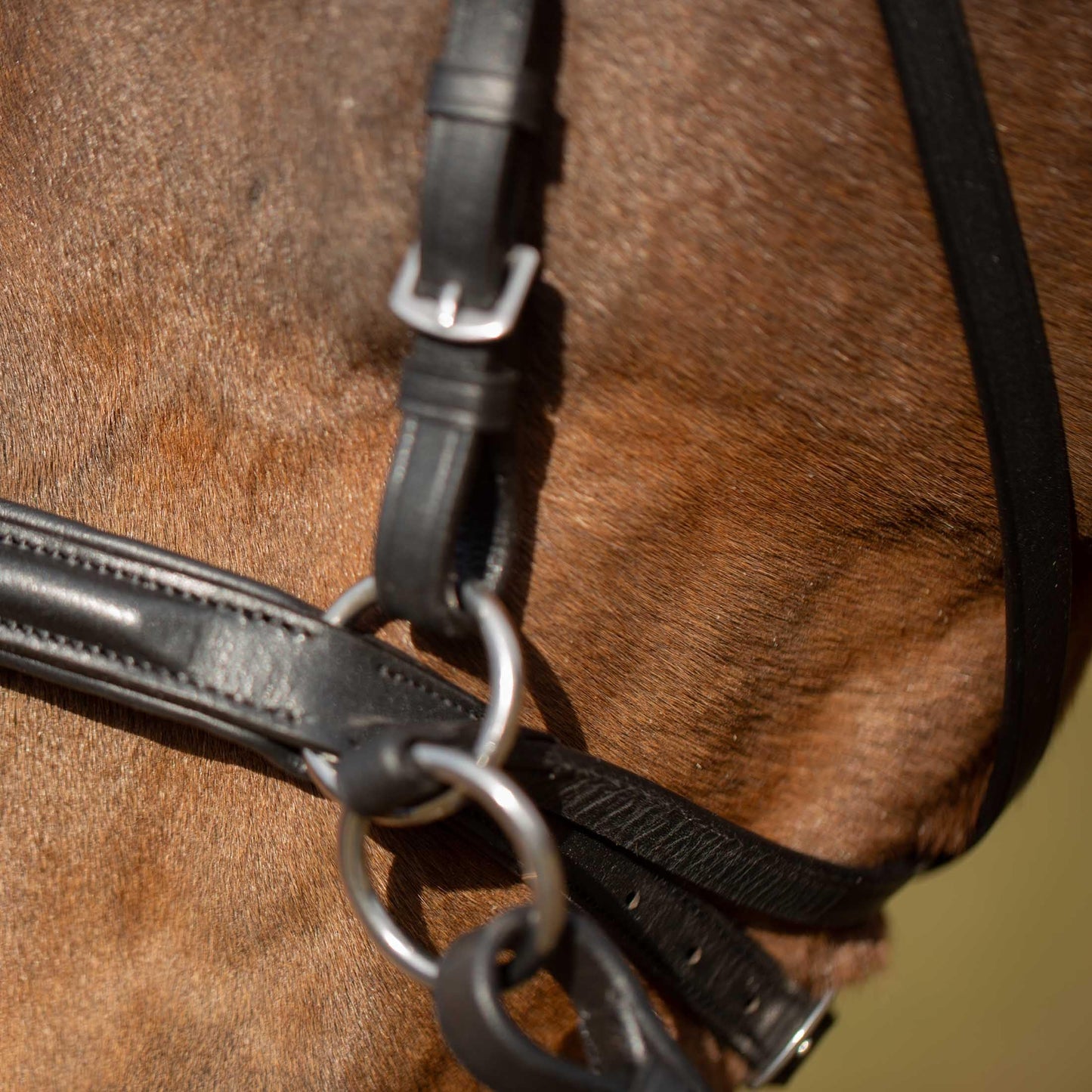 Equinavia Saga Cross-Under English Bitless Bridle for Horses | Reins Included - Black - Cob