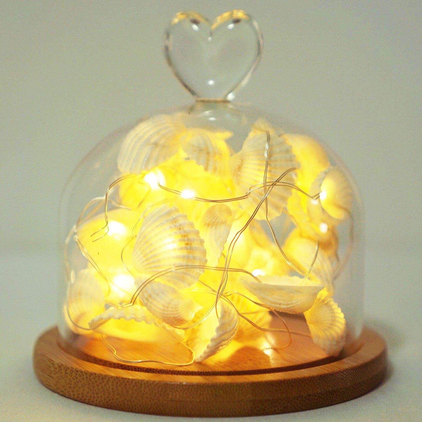 Cynzia Natural Seashells String Lights, 40LED Beach Decoration USB Plug in with 8 Modes Remote Control, Waterproof Ocean Fairy Lights for Bedroom Party Indoor Outdoor Wedding Holiday Christmas