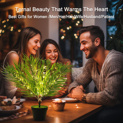 hibeauti 19.6" Artificial Twinkling Tree Light, USB & Battery Operated LED Plant Lamp for Bedroom Office Bar Office Party Decor, Ideal Christmas Birthday Mothers Day Housewarming Gifts for Men Women