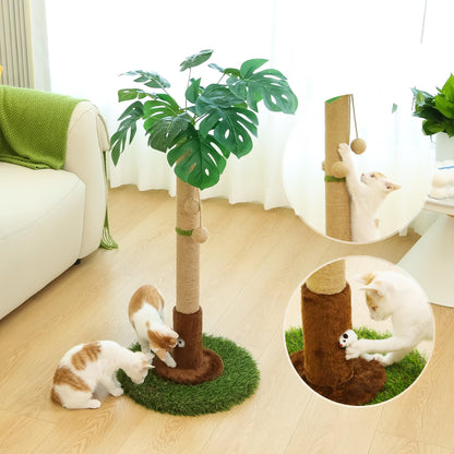 Woochpet Cat Scratching Post for Indoor Cats and Kitten - 35.43" Tall Cat Scratching Post with Sisal Rope,Palm Tree Cat Scratch Post with Hanging Ball