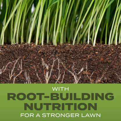 Scotts Turf Builder Grass Seed Tall Fescue Mix, 32 lbs.