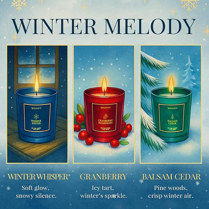 Whisper Winter Candle, 10oz Soy Scented Candle for Home, Christmas Birthday & Holiday Gifts for Women & Men, Long Lasting 50+ Hour Clean Non-Toxic Burn, Elegant Winter & Christmas Festive Home Decor