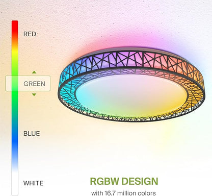 ASD 20 Inch Smart RGBW Flush Mount Ceiling Light with Remote - Matte Black 42W 120V 2700-6500K Dimmable Ceiling Light Fixture, WiFi App Control RGB Lights, Alexa & Google Assistant - ETL