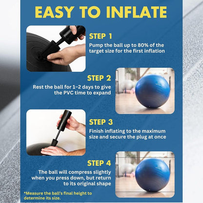 ProBody Pilates Pregnancy Ball - Yoga Ball for Prenatal & Postnatal Exercise | Includes Guide Book