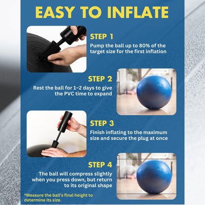 ProBody Pilates Exercise Ball - Multiple Sizes Gym Grade Balance Ball for Fitness, Workout, Pregnancy & Physical Therapy, Stability Yoga Ball Chair (Black, 65 cm)