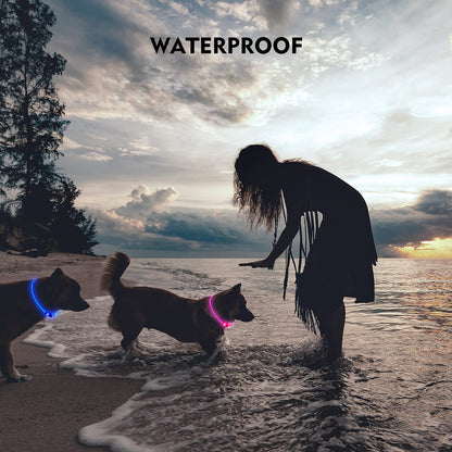 NOVKIN LED Dog Collar, Rechargeable Light Up Dog Collars,IP67 Waterproof Dog Lights for Night Walking，Adjustable, Reusable Safety Necklace for Small Medium Large Dogs (Red)