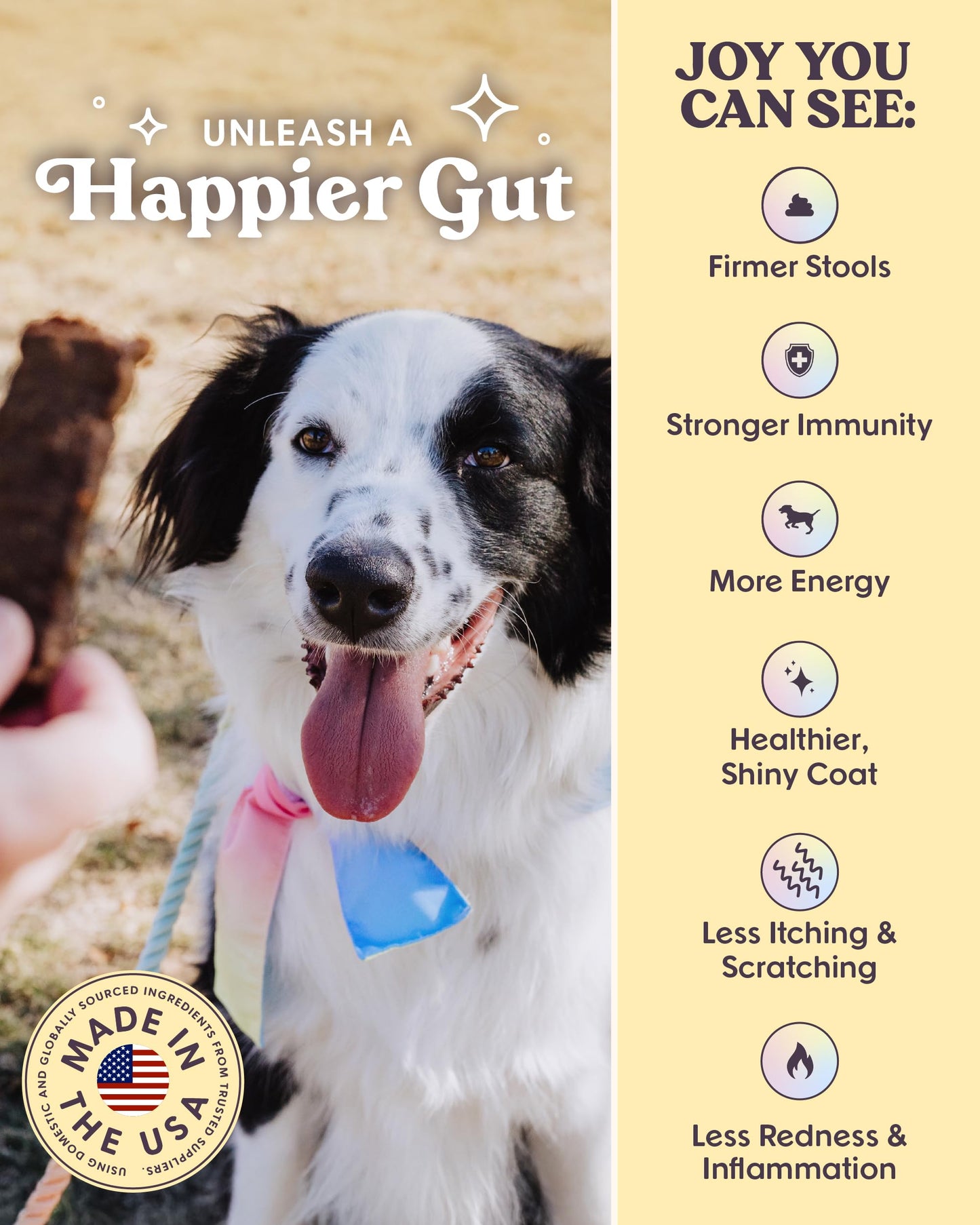 Bundle x Joy Rise & Shine Chicken Jerky Dog Treats - 16 Oz Bag, Natural Superfood - Corn, Poultry, Soy & Grain Free Dog Treats Made in USA Only