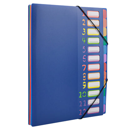 Edufun Rainbow Tab Expanding File Folder - 24 Pockets, Durable A4 Letter Size Organizer, Water-Resistant Plastic Dividers, Home/Office/School Document Holder (Blue)