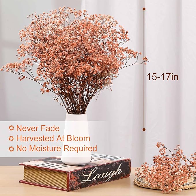 Babys Breath Dried Flowers Bouquet-17'' 1800+ Ivory Dry Flowers, Natural Gypsophila Branches for Wedding, Home Table Vase Decor, DIY Wreath Floral, Fall Thanksgiving Autumn Decoration (Brown, 2oz)
