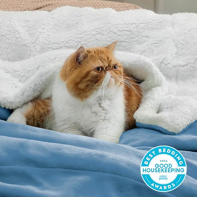 Bedsure GentleSoft Sherpa Fleece Throw Blanket Twin Size for Couch - Thick and Warm Throw for Men, Soft Fuzzy Plush Twin Blanket for Winter, Washed Blue, 60x80 Inches