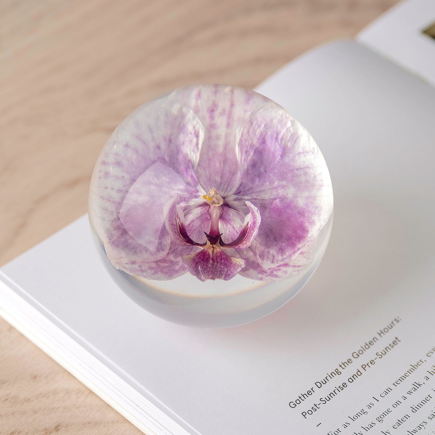 NouvoCrescent Real Purple Orchid Paperweight - Home Decor Crystal Resin Ball 3.14in (80mm) - Clear Resin Purple Orchid Flower Globe for Special Days - Sphere Figurine Office Paperweight w/Flat Bottom