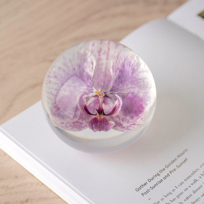 NouvoCrescent Real Purple Orchid Paperweight - Home Decor Crystal Resin Ball 3.14in (80mm) - Clear Resin Purple Orchid Flower Globe for Special Days - Sphere Figurine Office Paperweight w/Flat Bottom