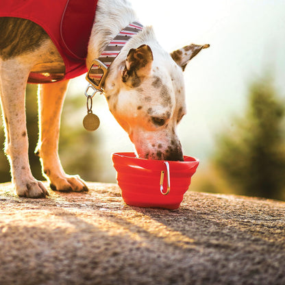 Kurgo Collapsible & Portable Travel Dog Bowl for Food & Water | Portable Water for Dogs | Food Grade Silicone Collapsible Dog Bowl | Pet Travel Accessories | BPA Free | Holdsup to 24 oz | Red