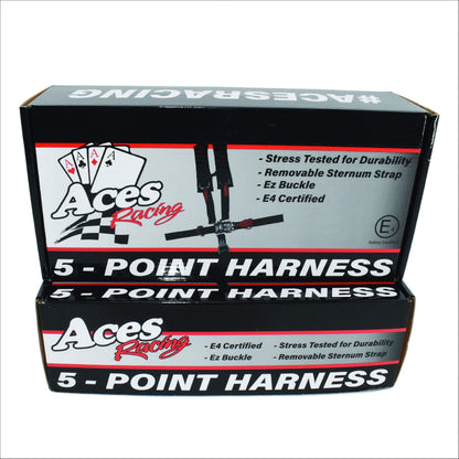 AAAA Aces Racing 5 Point Harness With 2 Inch Padding E4 Certified (Silver)