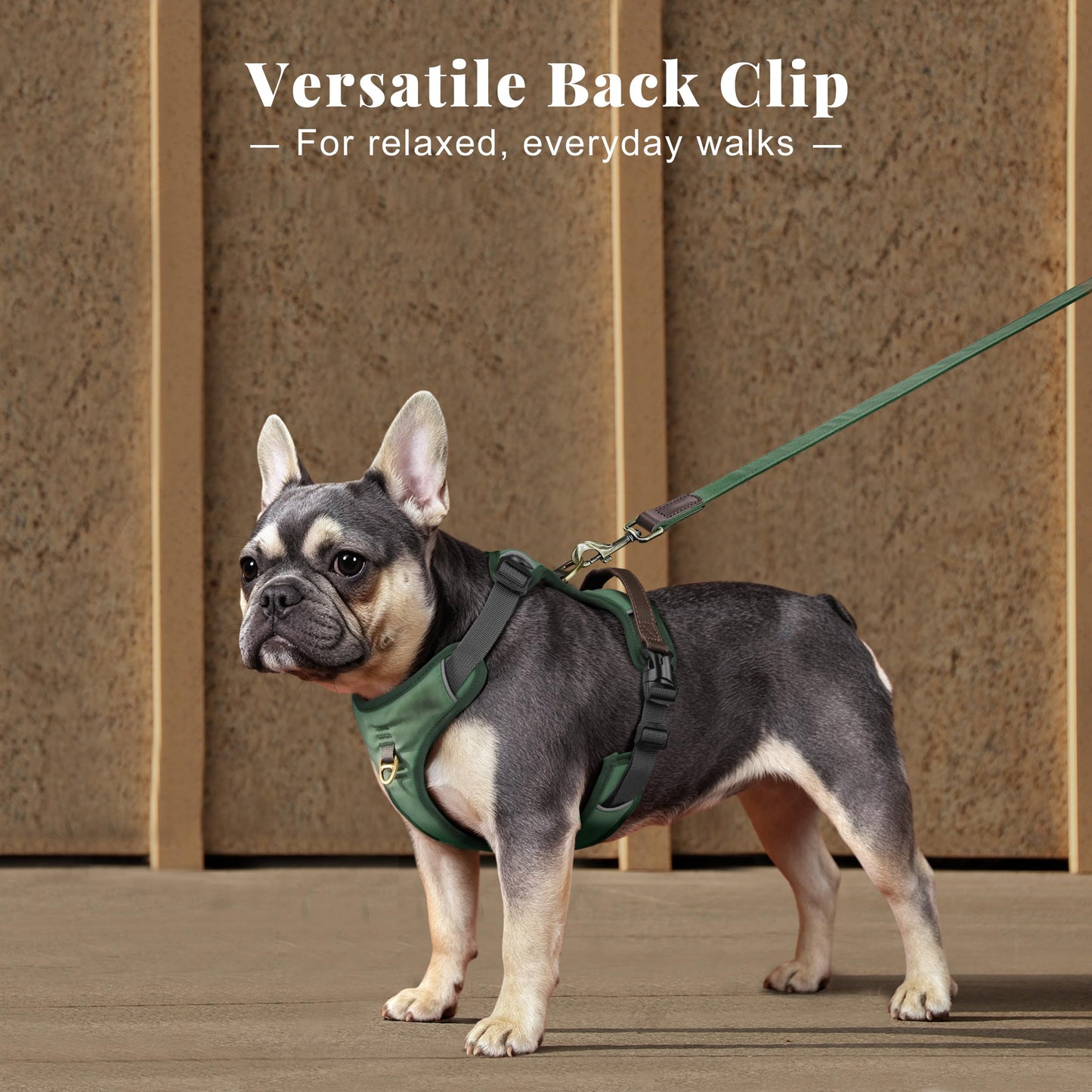 Didog No Pull Dog Harness Small Sized Dog,Classic PU Leather Vest for Small Dogs with Easy Control Handle,No Choke Front Clip,Reflective & Adjustable for Walking,Green,Chest 19-24"