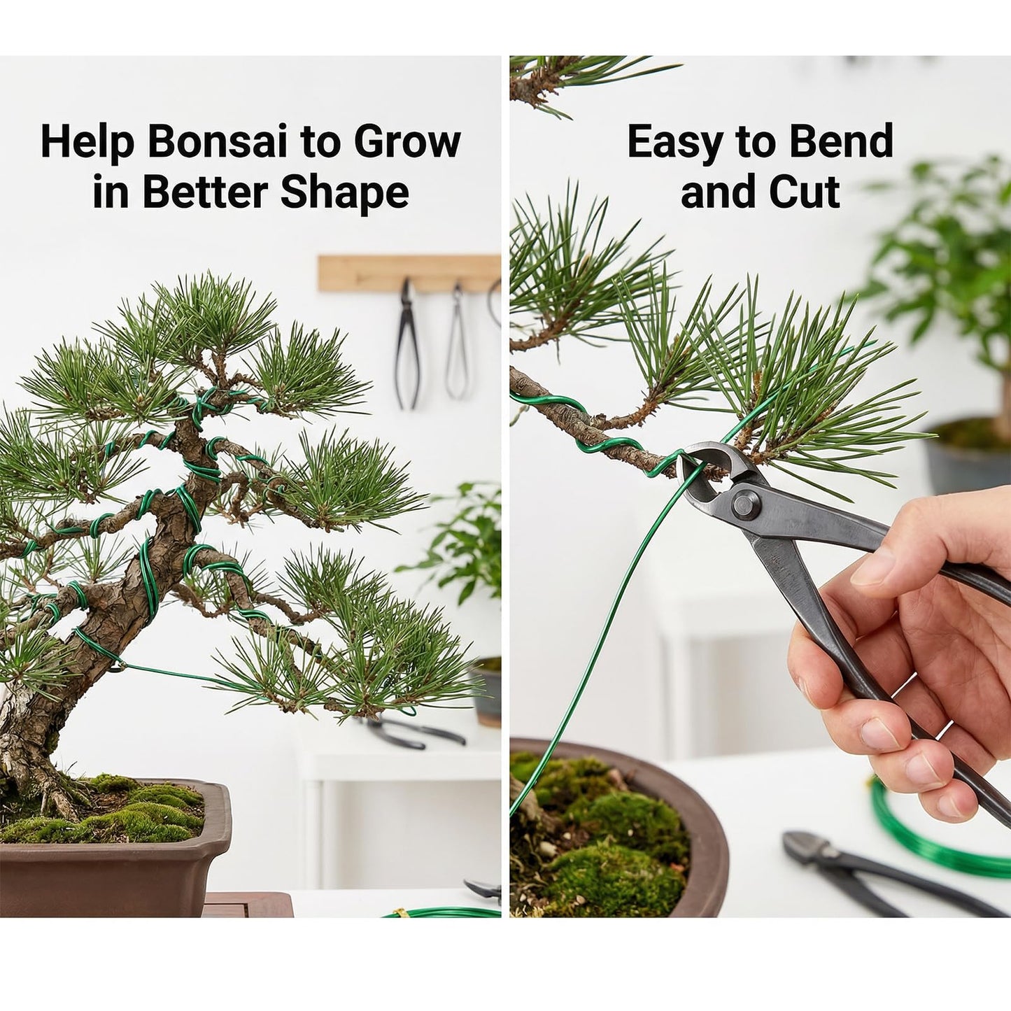 Bonsai Wire Kit, 98 Feet Aluminum Bonsai Tree Training Adjustable Wires Accessories for Holding Branches Wire Bonsai-Tool Set Small Trunks Bonsai-Trees Indoor Garden DIY Tools (3 Colors, 1mm, 30m)