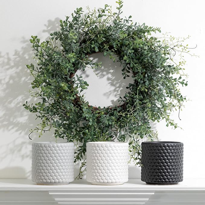 Sullivans Blue Boxwood Decorative Artificial Wreath, Wreaths for Front Door, Front Porch Décor, Fake Plants, Door Decorations, 24 x 7”, Green