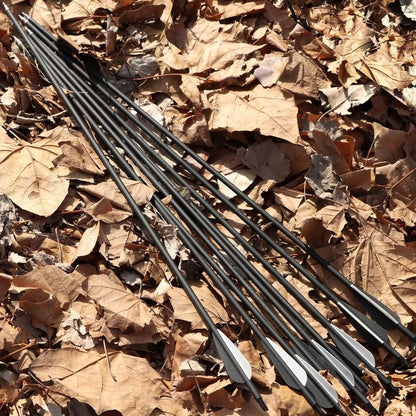 Carbon Arrow Practice Hunting Arrows - Spine 500 for Compound & Recurve Bow | 28-30 Inch (Pack of 12)