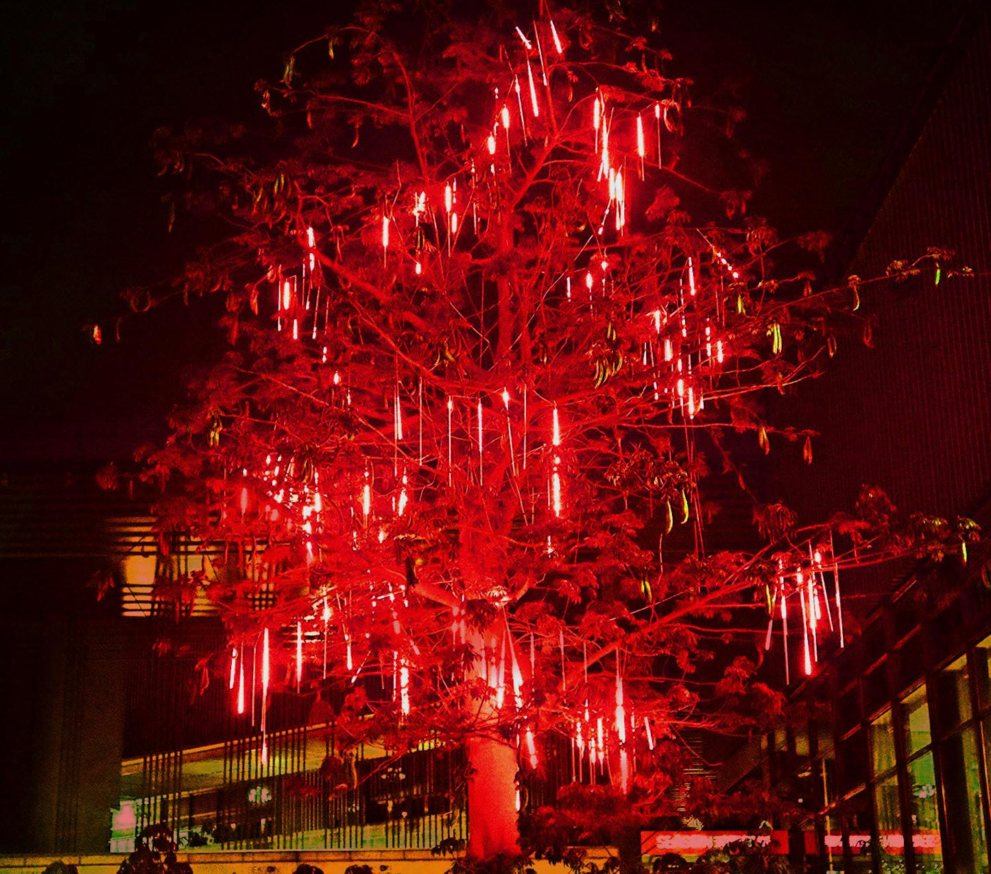 Roytong Christmas Red Meteor Shower Lights Outdoor - 12 Inch 10 Tube 360 LED High Brightness Falling Rain Icicle Cascading Lights for Xmas Halloween Tree Eaves Patio Decor (Can Connect 100 Sets)