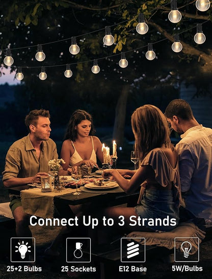 25FT String Lights, G40 Outdoor String Lights Edison Light Bulbs Clear Globe Lights for Backyard Patio Lights Indoor/Outdoor Commercial Decoration -5 Watt/120 Voltage/E12 Base -Black Wire