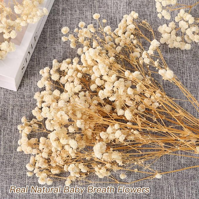 Babys Breath Dried Flowers Bouquet-17'' 2000+ Dry Flowers, Natural Gypsophila Branches for Wedding, Home Table Vase Decor, DIY Wreath Floral, Fall Thanksgiving Autumn Decoration (Ivory White, 2oz)