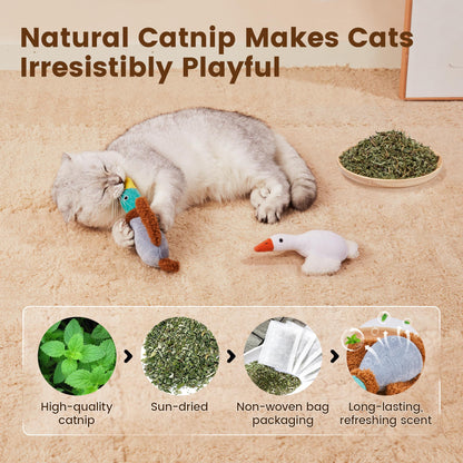 Potaroma Birds Cat Toys, 2 Pack Catnip Toys Soft Durable, Crinkle Sound Kicker Toys for Interactive Indoor Kitten Exercise 6.5 Inches for All Breeds