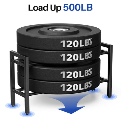 Dumbbell Rack 2-Tier 31 IN Length Adjustable Weight Rack For Home Gym Dumbbells Kettlebell (Rack Only)