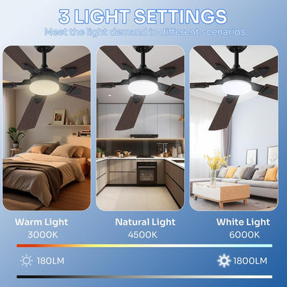 Crazypai Ceiling Fans with Lights, 52 Inch Modern Ceiling Fans with Lights and Remote Control, DC Reversible Motor, Noiseless, 3CCT, Ceiling Fan for Bedroom, Living Room, Apartment Indoor/Outdoor Use