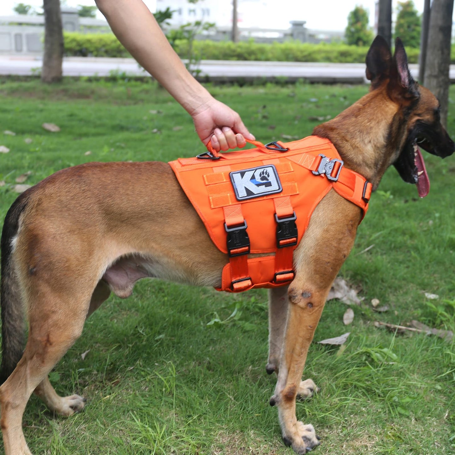 ICEFANG GN3 Tactical Dog Harness with 6X Buckle,Dog Molle Vest with Handle,3/4 Body Coverage,Hook and Loop Panel for ID Patch,No Pulling Front Clip (L (28"-35" Chest), Orange)