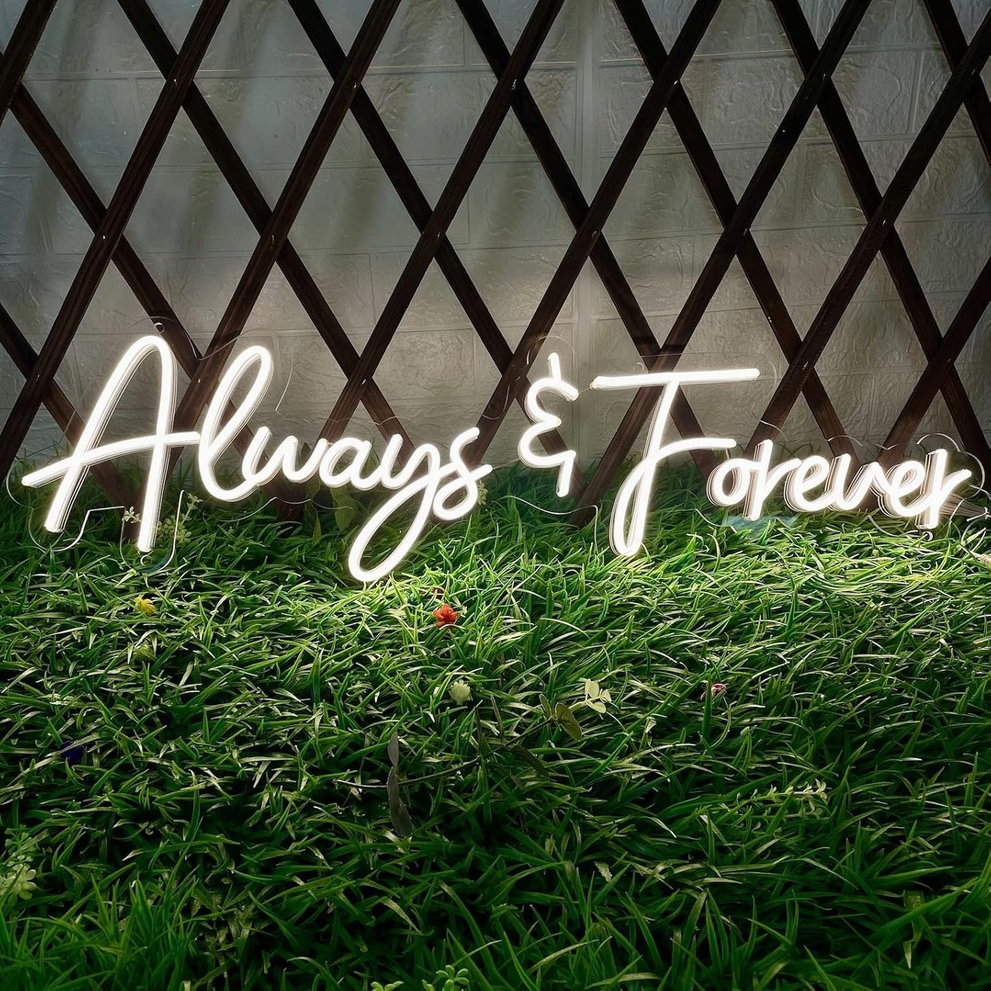 Always and Forever Letter LED Neon Sign for Lovers，Friends, Family Aesthetic Neon Light Signs,USB Powered LED signs, Wall Lights for Wedding,Anniversaries, Club ,Hotel ,Birthday Party Wall Hanging Decoration(20in)