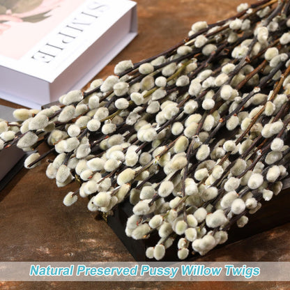 Natural Preserved Dried PussyWillow Branches for Vases, 30 Stems Real Willows, 17" Snow Pussywillows, Dried Flowers for Indoor and Outdoor Decor, Wedding Home DIY Floral Art Plants Fireplace