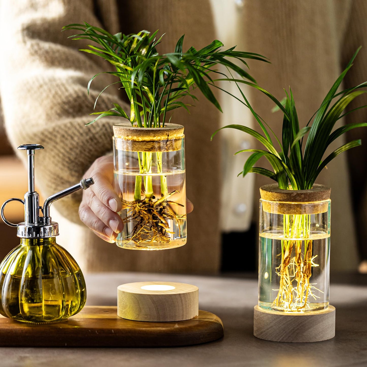 Glass Plant Propagation Stations, Propagation Vases for Plants with Ambient Light Base, Hydroponic Vase for Home & Office Windowsill Tabletop Decoration Desktop Vases for Living Room, Bedroom (6)