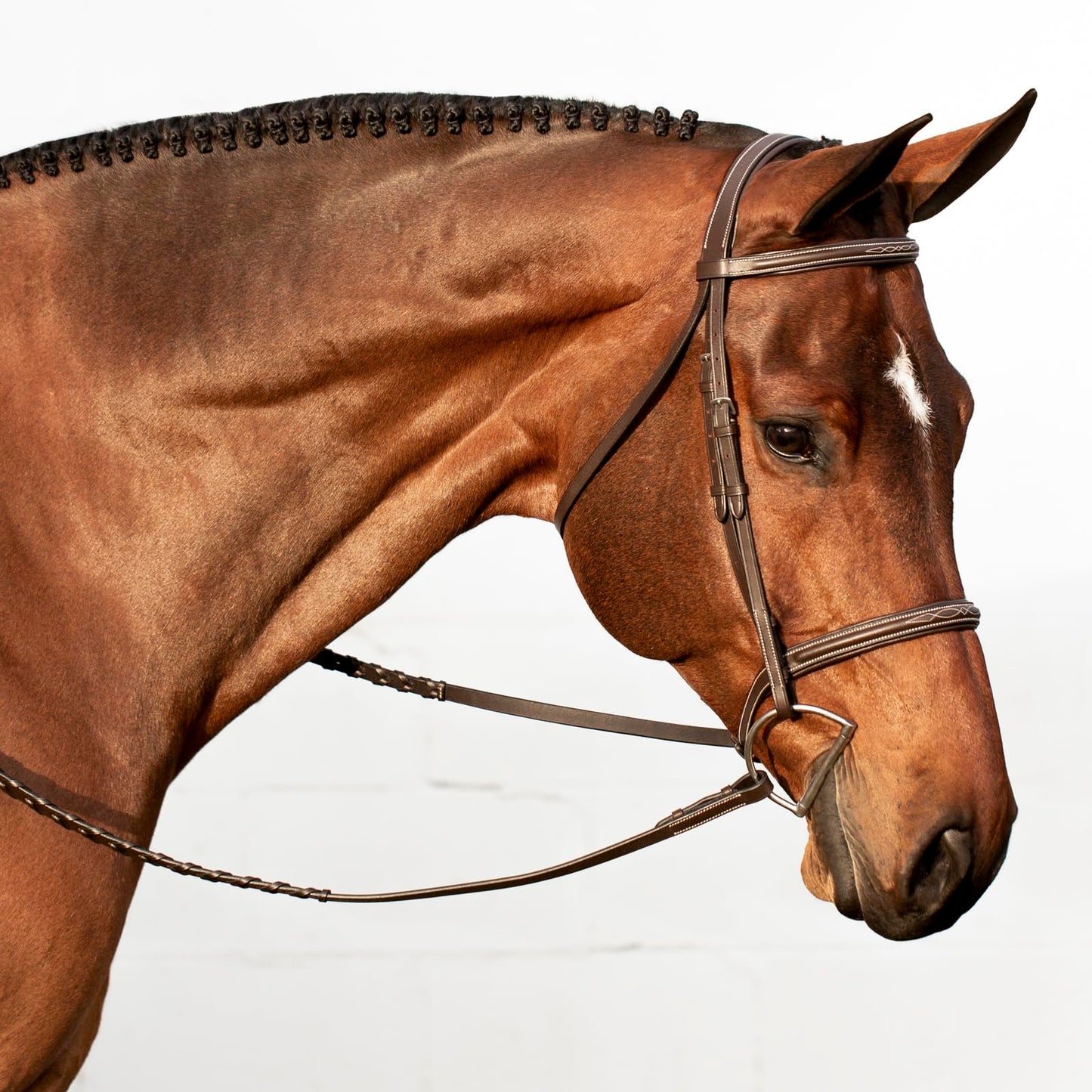 Equinavia Saga Adjustable Padded Fancy Stitched Hunter Bridle with Reins - Chocolate Brown - Pony
