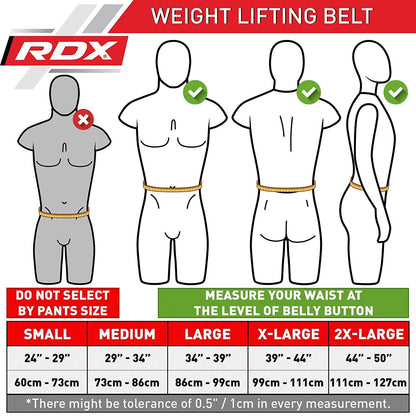 RDX Weight Lifting Belt Nappa Leather, 4” Padded Lumbar Back Support, 11 Adjustable Holes, Bodybuilding Training, Powerlifting Deadlifts Workout Squats Exercise, Home Gym Fitness Equipment