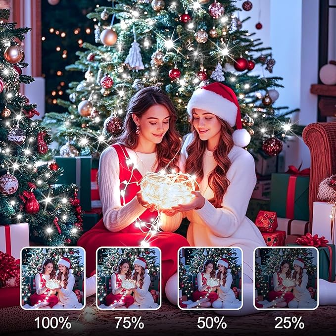 SAUIRS 600FT 1500 LED Christmas Lights Outdoor String Lights with 8 Modes Timer Waterproof Fairy Light Plug in for Outside Indoor Party Xmas Palm Tree Yard Wedding Decorations(Cool White)