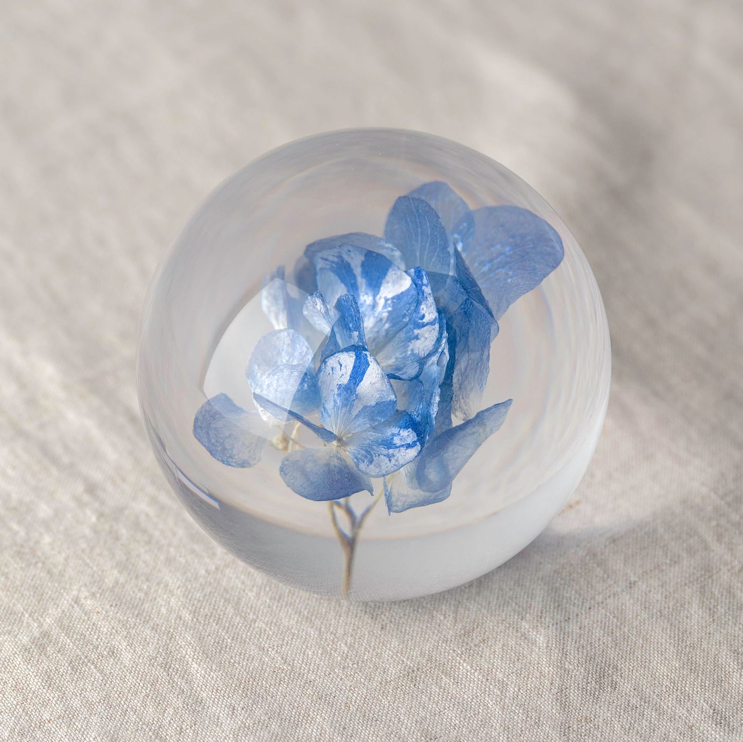 NouvoCrescent Real Blue Hydrangea Paperweight - Home Decor Crystal Resin Ball 3.14in (80mm) - Clear Blue Hydrangea Flower Globe for Special Days - Sphere Figurine Office Paperweight w/Flat Bottom
