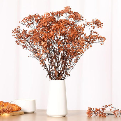 Babys Breath Dried Flowers Bouquet-17'' 1800+ Ivory Dry Flowers, Natural Gypsophila Branches for Wedding, Home Table Vase Decor, DIY Wreath Floral, Fall Thanksgiving Autumn Decoration (Brown, 2oz)