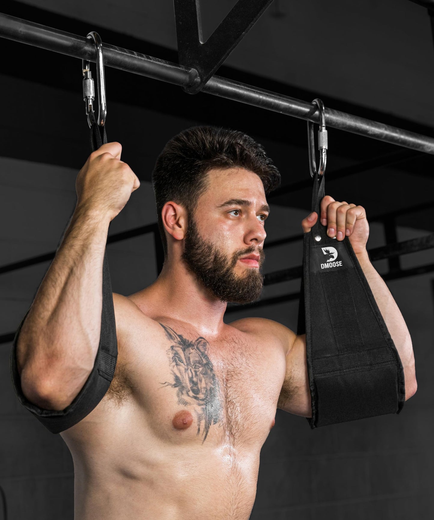 DMoose Fitness Premium Ab Straps for Abdominal Muscle Building, Arm Support for Ab Workout, Hanging Ab Straps for Pull Up Bar Attachment, Ab Exercise Gym pullup Equipment for Men Women (Grey)