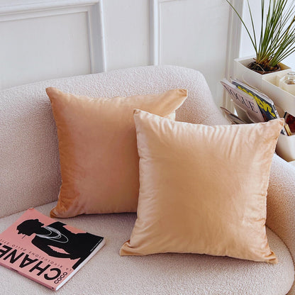LANE LINEN Throw Pillow Insert - Pack of 2 16x16 Pillow Inserts for Decorative Pillow Covers, Throw Pillows Insert for Couch - White