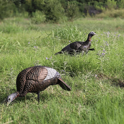 Ultra Realistic Turkey Decoy - Lightweight Plastic Thunder Chicken for Outdoor Hunting | Lifelike Feeding Hen