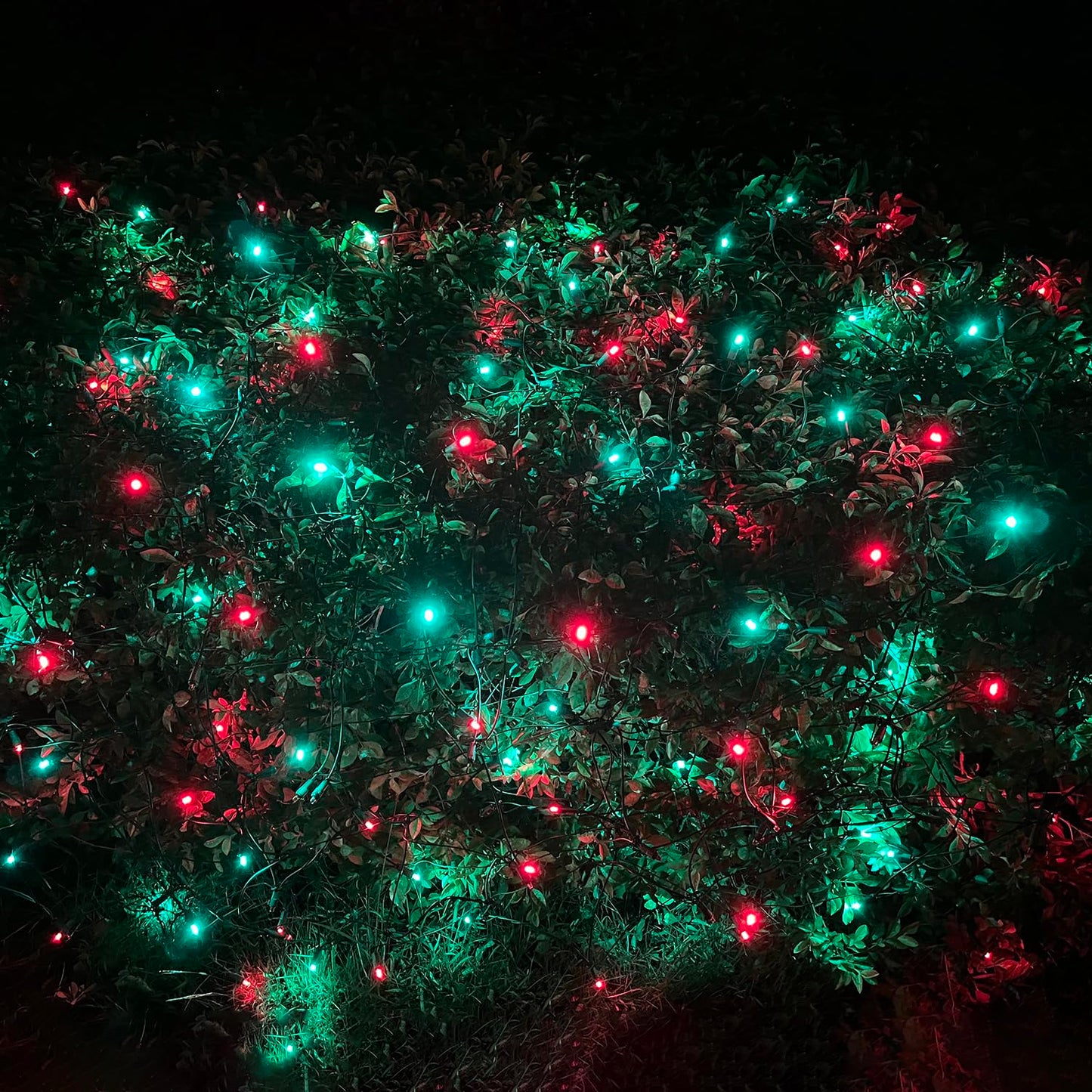 HISHINY LED Christmas Net Lights Outdoor, 5ftx5ft 100LED Green Wire, Connectable Bush Mesh Net Lights String for Halloween Christmas Party,Shrub,Yard,Tree（Red&Green）