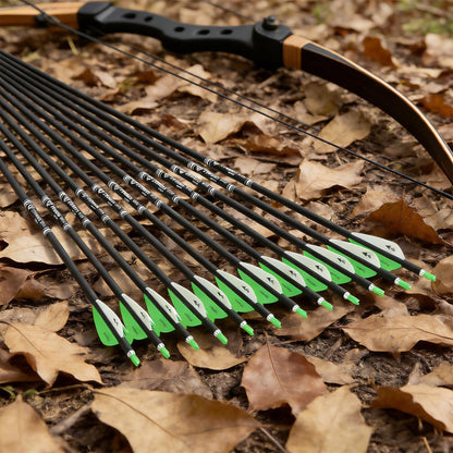 Powants 31inch Carbon Arrow Archery Targeting Practice Hunting Arrows for Compound & Recurve Bow with Removable Tips(Pack of 12) (Green)