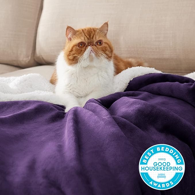 Bedsure GentleSoft Sherpa Fleece Blankets Queen Size for Bed - Thick and Warm Throw for Women, Soft Fuzzy Plush Queen Blanket for Winter, Purple, 90x90 Inches